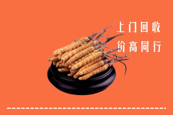 高价求购：深圳市南山区回收散虫草