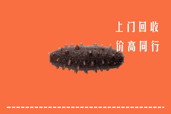 高价求购：深圳市南山区回收海参