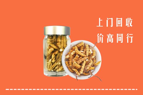 深圳市南山区回收冬虫夏草