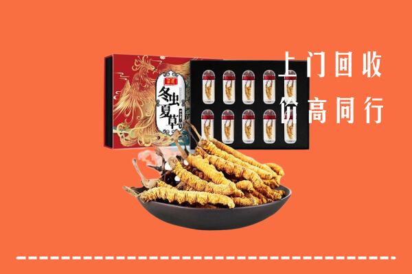 深圳市南山区回收虫草